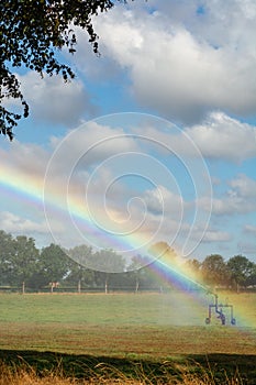 Ð¡atastrophic drought and heat in Europe, nature disaster, irrigation of grass fields and colorful water rainbow