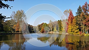 Ataturk Arboretum botanic park on Autumn, Istanbul