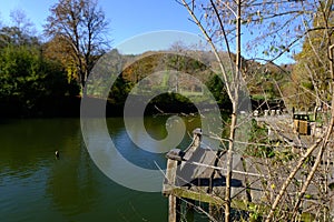 Ataturk Arboretum botanic park on Autumn, Istanbul