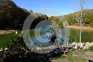 Ataturk Arboretum botanic park on Autumn, Istanbul