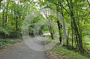 Ataturk Arboretum Nature Park