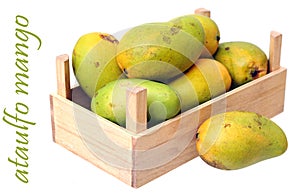 Ataulfo mango