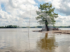 Atchafalaya National Wildlife Refuge