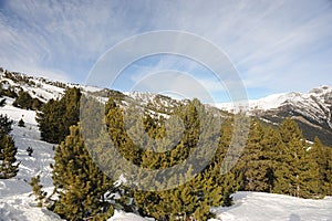 They ate on the slopes of the mountains of the Principality of Andorra, the Pyrenees, Europe.