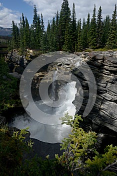 Athabasca falls