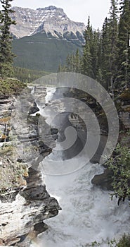 Athabasca Falls 4379