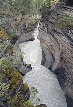 Athabasca Falls