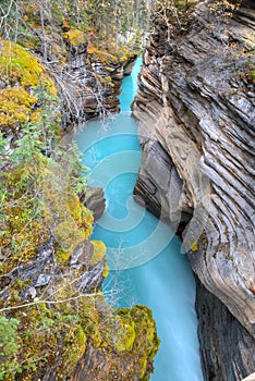 Athabasca Falls canyon