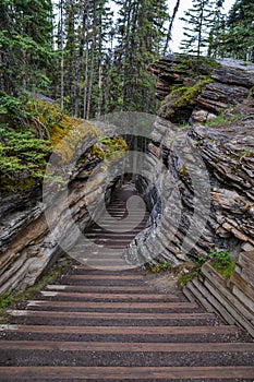 Athabasca Falls Canyon Steps