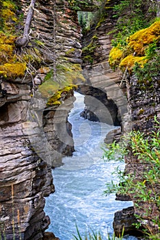 Athabasca falls in Jasper National Park, Rocky Mountains, Alberta Canada