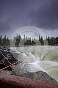 Athabasca Falls in the Rocky Mountains of Canada. Between the cliffs above the water stuck logs. Cloudy day in Jasper