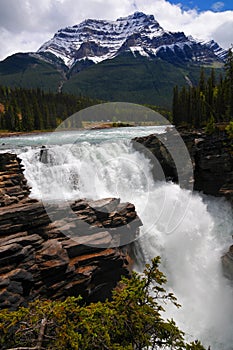 Poster perfect beautiful Athabasca water fall in jasper national park. Canadian Rockies in Alberta Canada