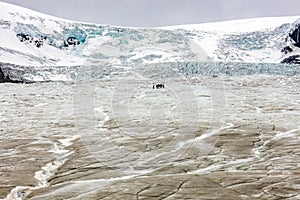 Athabasca Glacier with guided expedition