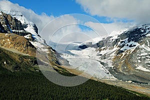 Athabasca glacier from Wilcox Pass