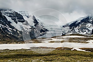 Athabasca glacier from Wilcox Pass