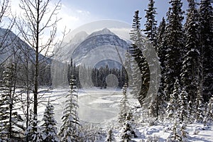 Athabasca River