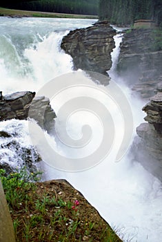 Athabasca River Falls, Rockies, Alberta Canada.
