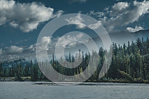 The Athabasca river flows by the Canadian rocky mountains in Alberta, Canada