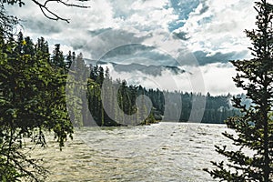 The Athabasca river flows by the Canadian rocky mountains in Alberta, Canada