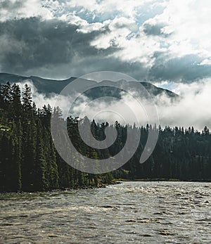 The Athabasca river flows by the Canadian rocky mountains in Alberta, Canada