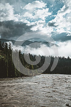 The Athabasca river flows by the Canadian rocky mountains in Alberta, Canada