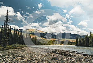 The Athabasca river flows by the Canadian rocky mountains in Alberta, Canada