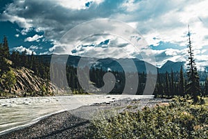 The Athabasca river flows by the Canadian rocky mountains in Alberta, Canada