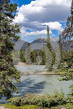 The Athabasca River in Jasper National Park along Icefields Parkway Highway 93 in Canada photo