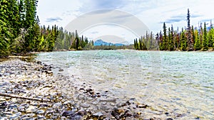 The Athabasca River at the meeting of the rivers with the Whirlpool River in Jasper National Park