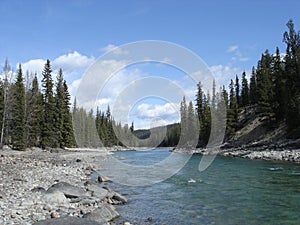 the Athabasca river in the springtime - landscape