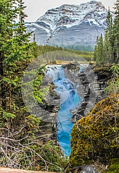 Athabaska Falls Jasper National Park Alberta Canada photo