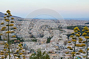 Athens cityscape at sunset.