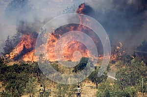 Athens forest fires