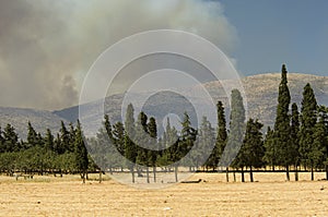 Athens forest fires