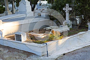 Funeral architecture on the First Cemetery of Athens