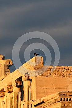 Athens, Greece - Erechtheum detail