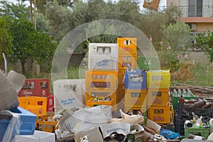 Boxes with empty beer bottles on the trash