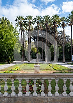 Athens Greece, National Garden, blue sky background, sunny day