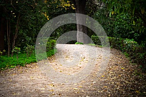 Athens, Greece, national  garden path between trees, vivid colors nature in urban park