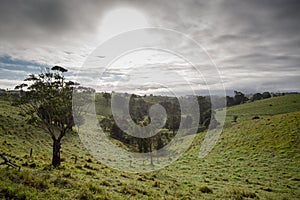 Atherton Tablelands on a Misty Morning in Australia