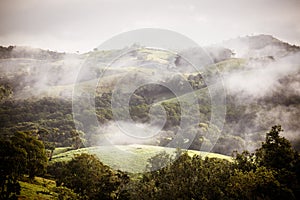 Atherton Tablelands on a Misty Morning photo