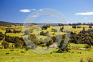 Atherton Tablelands on a Misty Morning photo