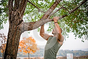 Athlete doing pull-ups on tree in park