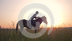 An athlete sits on a horse on a sunset background.