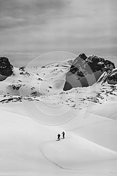 Athletes doing backcountry ski with a landscape of snowy mountains on a sunny day. Black and white