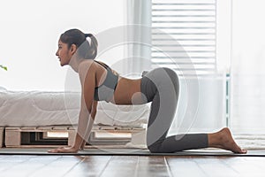 Athletic Asian woman in sportwear practice yoga Cat Cow pose to meditation at home