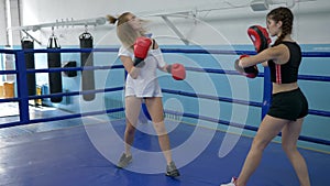 Athletic girls train in short shorts in gym, girl takes blows on boxing paws of strong female in gloved on ring