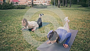 Athletic ladies push up exercises at park. Strong women training arms muscles