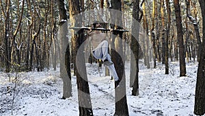 Athletic man doing static exercises on horizontal bar at forest. Sportive guy training abdominal outdoor. Young