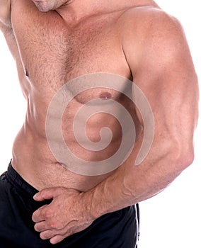 Athletic male body builder